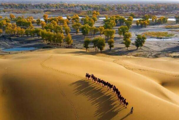 中国最大的沙漠是什么沙漠(塔克拉玛干沙漠)