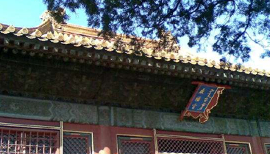 咸福宫的建筑布局有哪些特色？