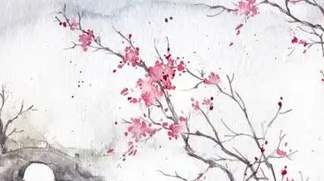 苏轼的《行香子;述怀》表达的是一种什么样的思想感情？