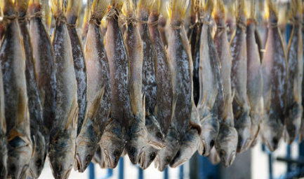 “咸鱼”听起来似乎很普通，为什么在古代却不是一般人能吃的？
