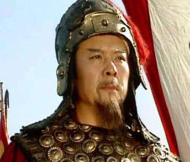 刘备打仗为什么不带上诸葛亮 诸葛亮真的不会打仗吗