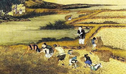 在明初的洪武年间，明朝的农业经济又是怎么样发展的？
