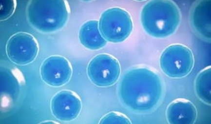 细胞是人体生长、发育的基础，其现代化学元素共有多少种？