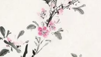 刘克庄《摸鱼儿;海棠》：写尽了作者对海棠花的钟爱深惜