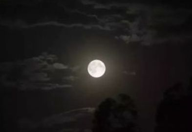白居易所作的《八月十五日夜湓亭望月》，曲折的突出诗人贬谪的孤寂之情