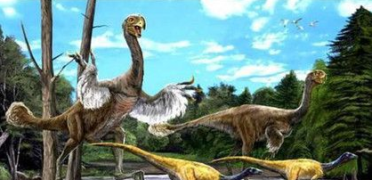 鸟类的祖先为什么是始祖鸟?鸟类是怎么样进化的?
