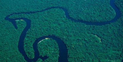 亚马孙热带雨林面积有多大？