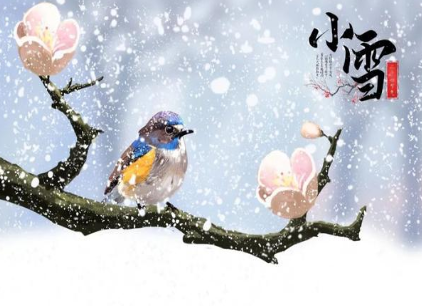 唐代清江所作的《小雪》，描绘了小雪天雪花飞舞的情景