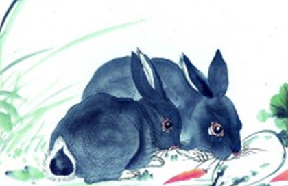 关于兔的生肖神话有哪些？