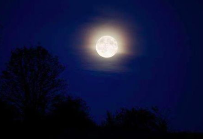 白居易所作的《望月有感》，蕴含对兄弟姐妹的怀念之情