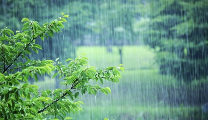 雨水节气的天气有哪些特点？