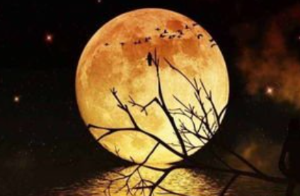 《明月皎夜光》是哪位诗人的作品？
