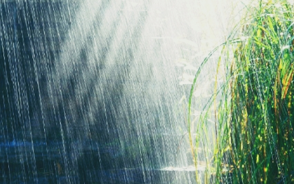 清明时节的气候特点：江南时阴时晴，雨水充沛