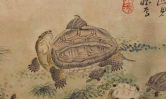 曹操的《龟虽寿》的文学价值在哪里？