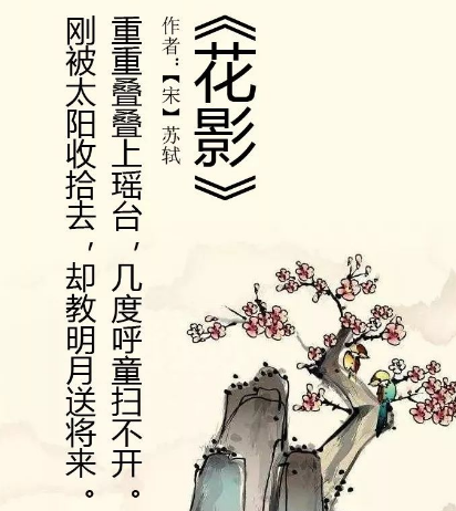 苏轼花影的原创与赏析，在什么背景下创作的？